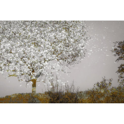 Fruit Tree White Modern Wood Framed Art Print by Talen, Nel