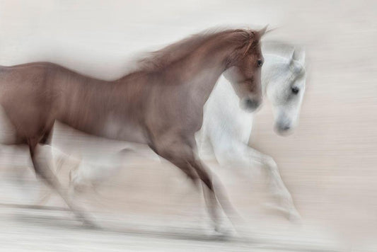 Image Only