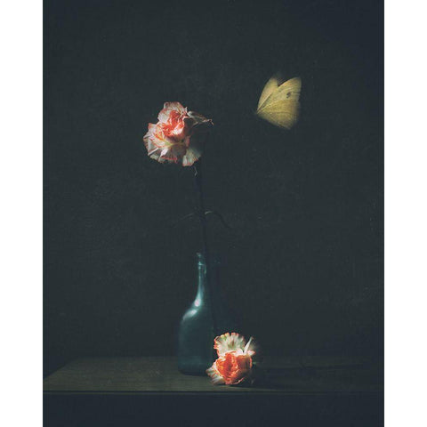 Dark Mood White Modern Wood Framed Art Print by Devos, Delphine