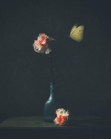 Dark Mood Black Ornate Wood Framed Art Print with Double Matting by Devos, Delphine