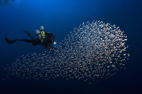 Alvin Shoal Black Ornate Wood Framed Art Print with Double Matting by Gabriel, Barathieu