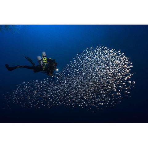 Alvin Shoal Black Modern Wood Framed Art Print by Gabriel, Barathieu