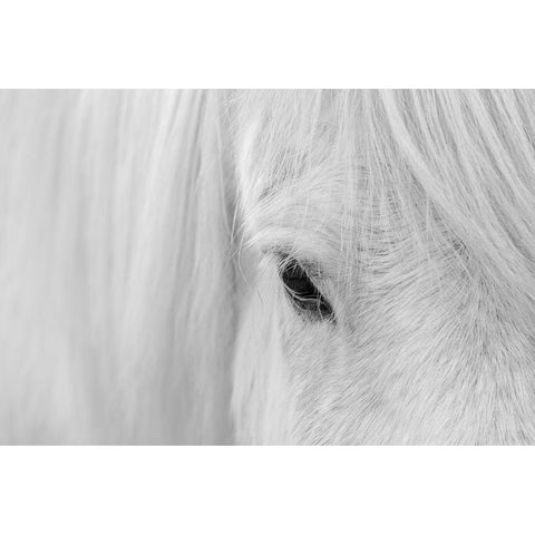 Whisper Of Iceland Black Modern Wood Framed Art Print by Fan, John