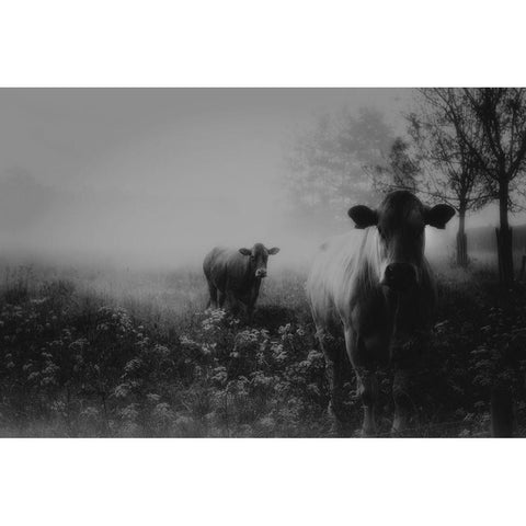 Foggy Memory  Of The Past Black Modern Wood Framed Art Print with Double Matting by Dingemans, Saskia
