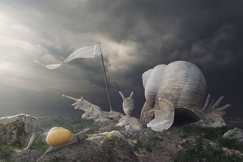 Temple Of Snail Black Ornate Wood Framed Art Print with Double Matting by Cakovsky, Peter