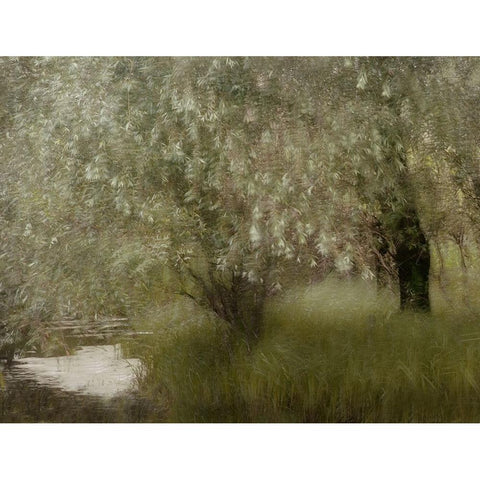 At The Riverbank White Modern Wood Framed Art Print by Talen, Nel