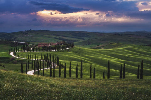 Tuscany - Crete Senesi White Modern Wood Framed Art Print with Double Matting by Claude Castor, Jean