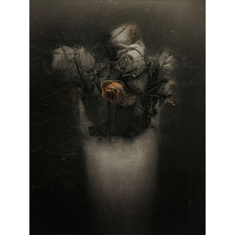 Grieving Red Old Roses Black Modern Wood Framed Art Print with Double Matting by Claes, Gilbert