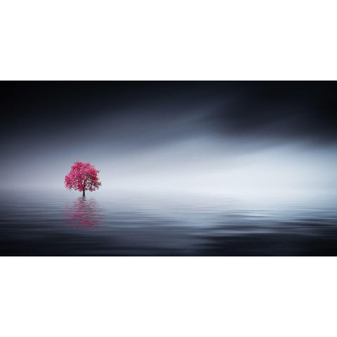 Pink Tree At Lake White Modern Wood Framed Art Print by Hamiti, Bess