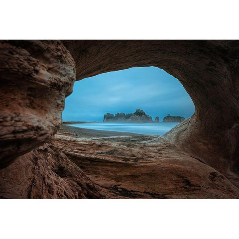 View From A Hollow Tree White Modern Wood Framed Art Print by Jacobs, Lydia