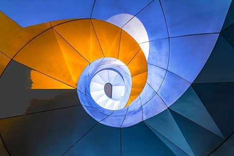 Snail Stairs Black Ornate Wood Framed Art Print with Double Matting by Zhu, Hua