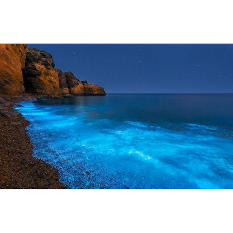 Bioluminescent Bay White Modern Wood Framed Art Print by Zhu, Hua