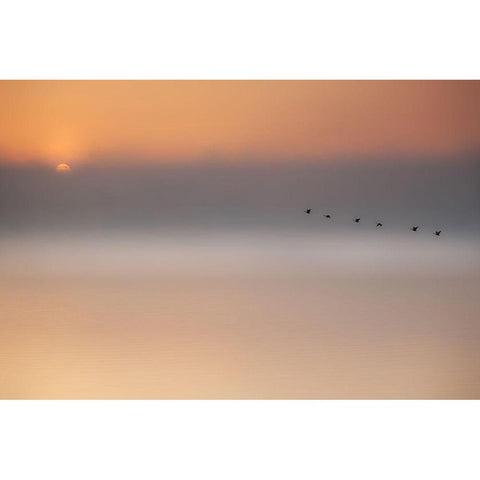 Precious Memories White Modern Wood Framed Art Print by Schleicher-Schwarz, Roswitha