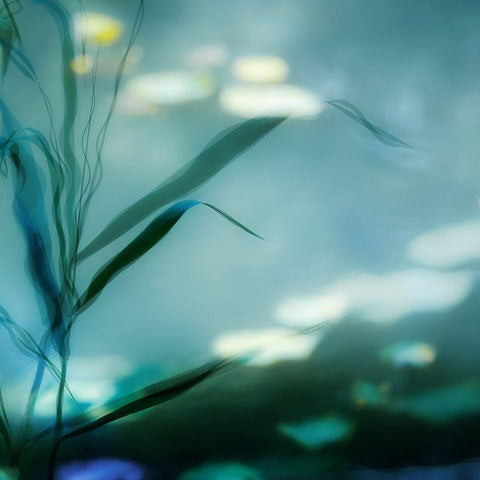 Ripples In Suzhou Black Modern Wood Framed Art Print with Double Matting by Flour, Piet