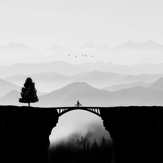 Image Only