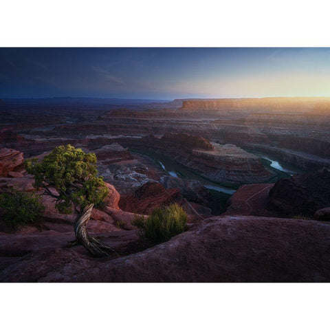 Deadhorse Land Gold Ornate Wood Framed Art Print with Double Matting by Pablo De, Juan