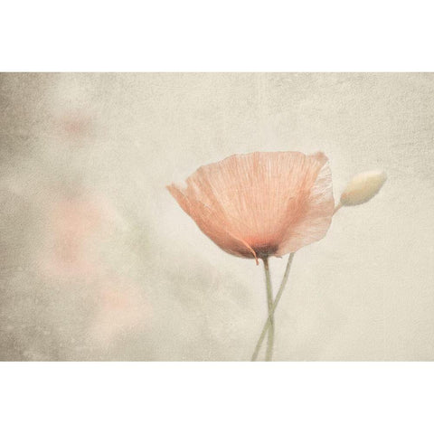 Jewel Of Nature Gold Ornate Wood Framed Art Print with Double Matting by Claes, Gilbert