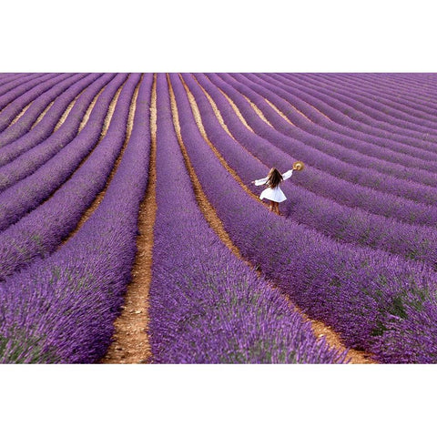 Violet Black Modern Wood Framed Art Print by Della Latta, Massimo