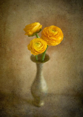 Yellow Buttercups White Modern Wood Framed Art Print with Double Matting by Tokarev, Igor