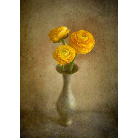 Yellow Buttercups Black Modern Wood Framed Art Print by Tokarev, Igor