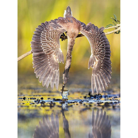 Azulada Pescando Black Modern Wood Framed Art Print with Double Matting by Ruggeri, Andres