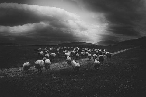 Untitled Black Ornate Wood Framed Art Print with Double Matting by Tanev, Todor