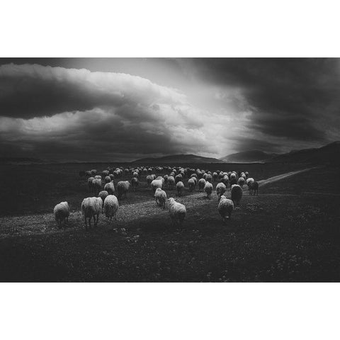 Untitled Black Modern Wood Framed Art Print by Tanev, Todor