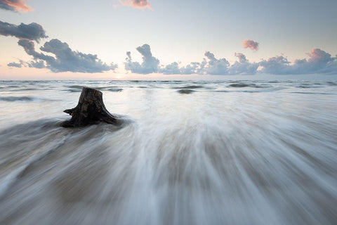 Untitled Black Ornate Wood Framed Art Print with Double Matting by Lucidi, Riccardo