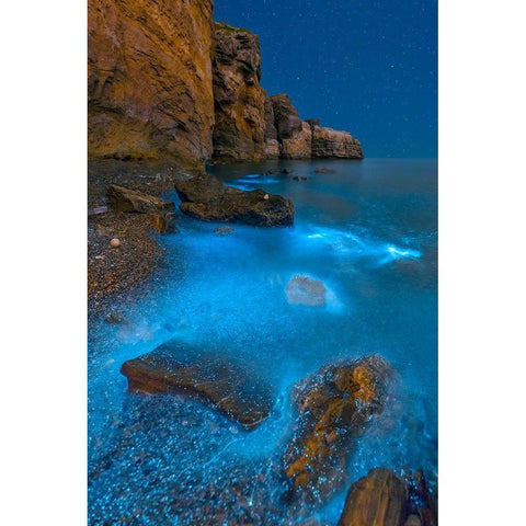 Bioluminescent Bay White Modern Wood Framed Art Print by Zhu, Hua