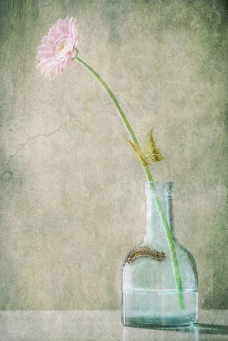 A Quiet Summer Day Black Ornate Wood Framed Art Print with Double Matting by Devos, Delphine