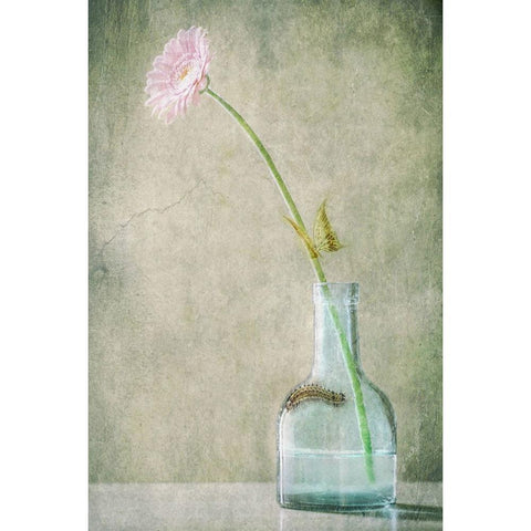 A Quiet Summer Day Black Modern Wood Framed Art Print with Double Matting by Devos, Delphine