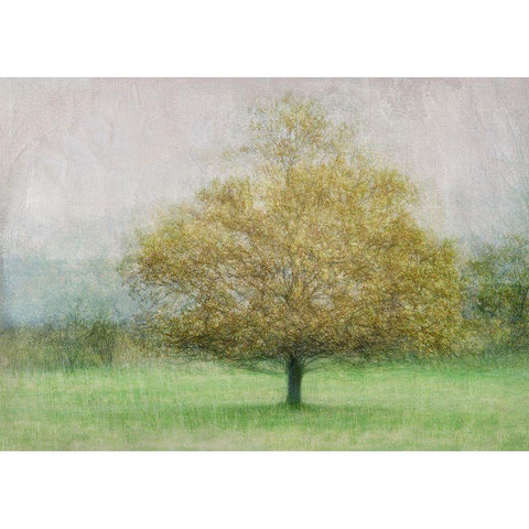 Solitaire White Modern Wood Framed Art Print by Holmstrom, Katarina