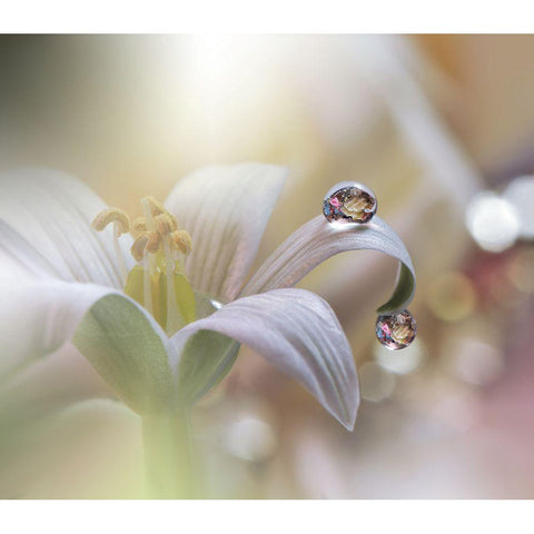 Tears Of Time.. Black Modern Wood Framed Art Print by Nan, Juliana