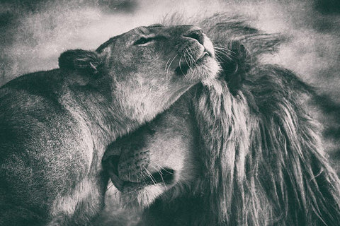 Love Black Ornate Wood Framed Art Print with Double Matting by Alnaser, Mohammed