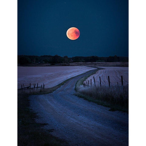 Bloodmoon 2018 Black Modern Wood Framed Art Print with Double Matting by Lindsten, Christian