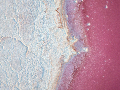 Salty World II Black Ornate Wood Framed Art Print with Double Matting by Carrillo Lopez, Antonio