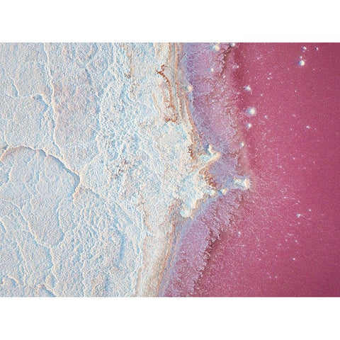 Salty World II Gold Ornate Wood Framed Art Print with Double Matting by Carrillo Lopez, Antonio