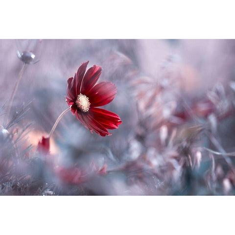 Carmen Black Modern Wood Framed Art Print by Bravin, Fabien