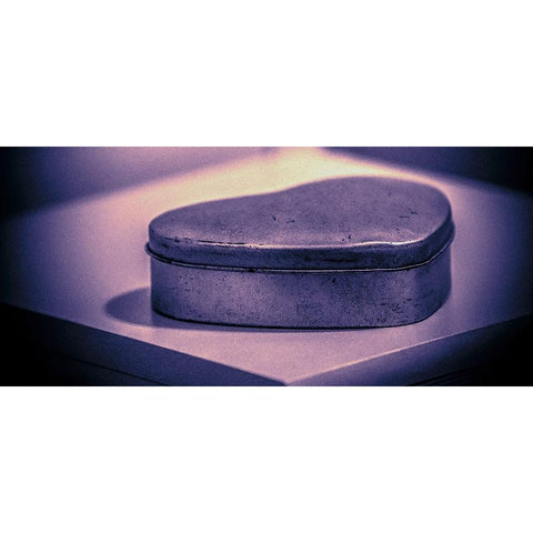 The Gift Black Modern Wood Framed Art Print with Double Matting by Menhard, Ingo