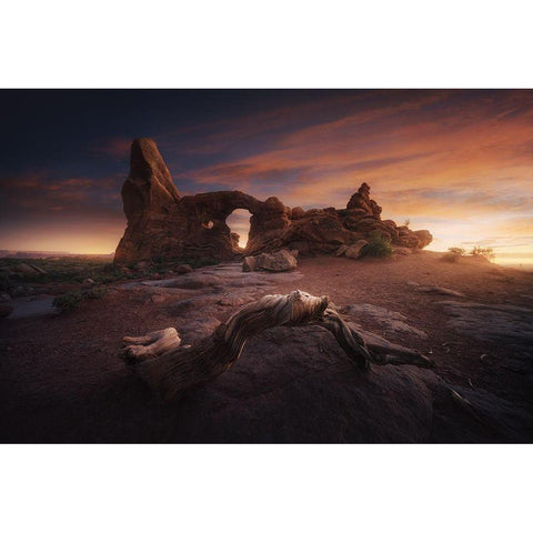 Roots Of Arches. Black Modern Wood Framed Art Print with Double Matting by Pablo De, Juan