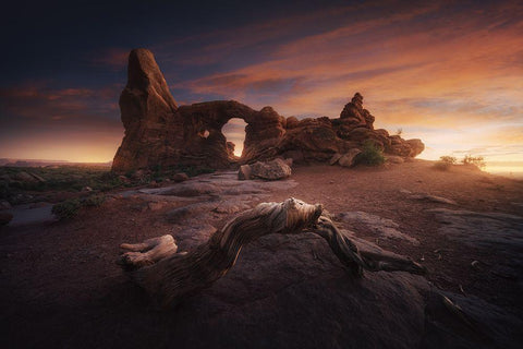 Roots Of Arches. White Modern Wood Framed Art Print with Double Matting by Pablo De, Juan