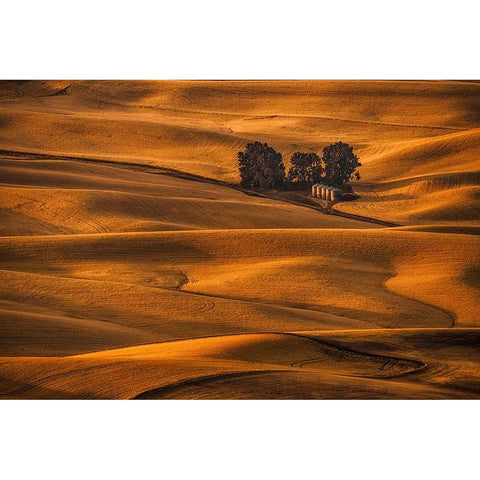 Golden Field Gold Ornate Wood Framed Art Print with Double Matting by Jacobs, Lydia