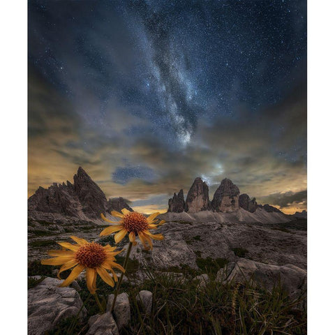 Even The Flowers Seem To Be Fascinated By The Stars Gold Ornate Wood Framed Art Print with Double Matting by Ghizzi Panizza, Alberto