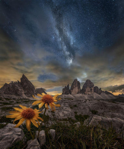 Even The Flowers Seem To Be Fascinated By The Stars White Modern Wood Framed Art Print with Double Matting by Ghizzi Panizza, Alberto