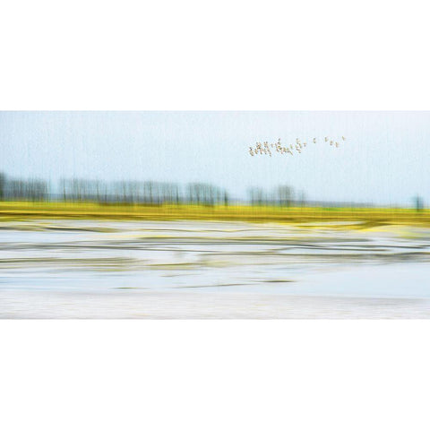 Peace Black Modern Wood Framed Art Print with Double Matting by Chan, Mozart