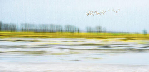 Peace Black Ornate Wood Framed Art Print with Double Matting by Chan, Mozart