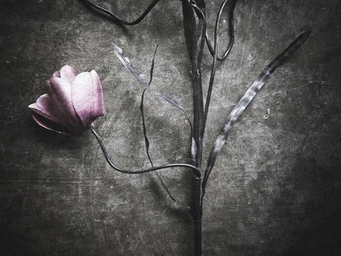 Lonely White Modern Wood Framed Art Print with Double Matting by Lagaa, Kahar