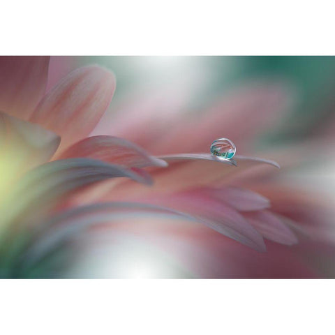 Sunbeam..Ii White Modern Wood Framed Art Print by Nan, Juliana