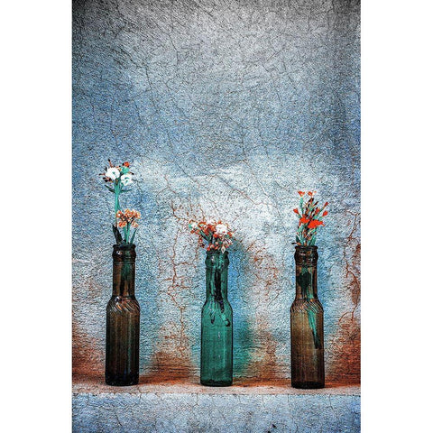 Lovely Little Flowers Black Modern Wood Framed Art Print with Double Matting by Saeidinia, Afshin