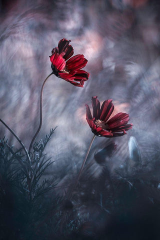 I Will Always Be There For You Black Ornate Wood Framed Art Print with Double Matting by Bravin, Fabien